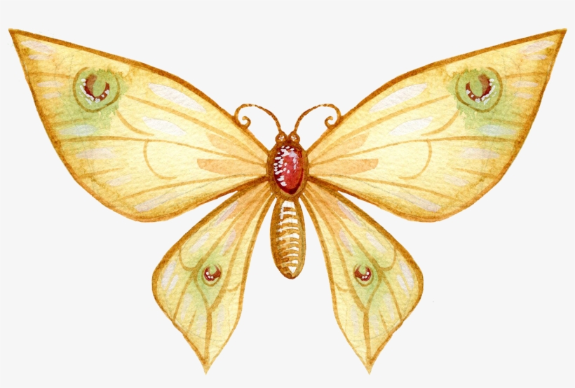 Butterfly Watercolor Painting Art Drawing - Butterfly Watercolor Drawings Samsung Galaxy S7 Leather, transparent png