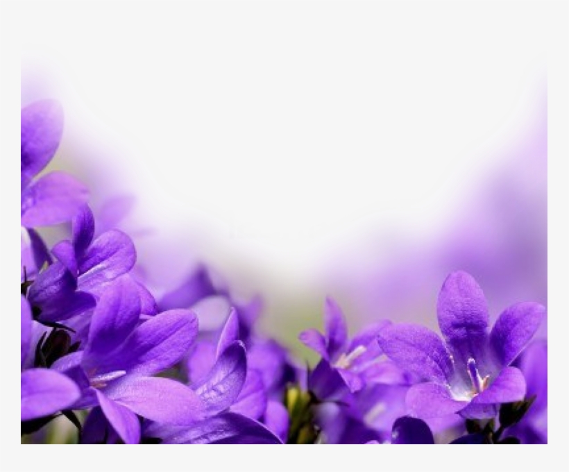 Share This Image - Flowers With Love Words, transparent png