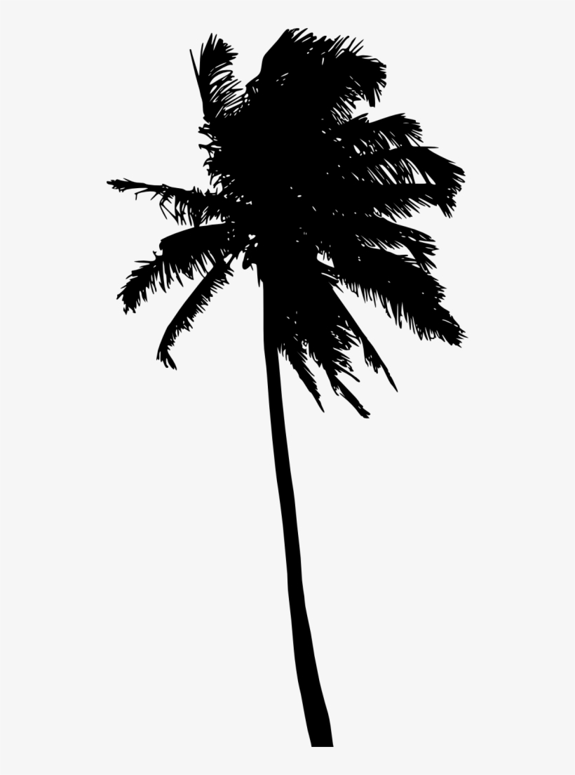 Png File Size - Attalea Speciosa, transparent png