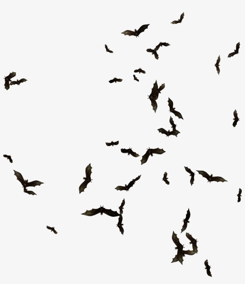 Index Of Mapping Objects Clipart Transparent Library - Swarm Of Bats Png, transparent png
