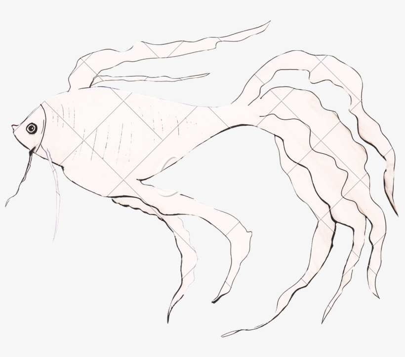 Illustration Drawing Goldfish - Drawing, transparent png