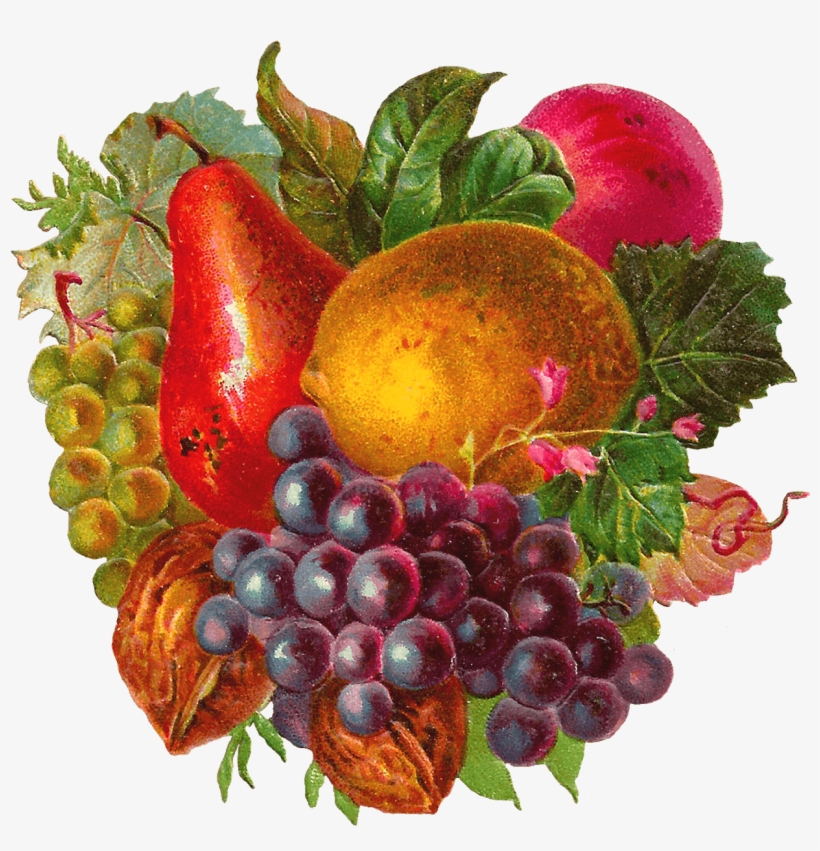 Fruit Water Splash Clipart Woman - Free Vintage Clip Art Fruit, transparent png