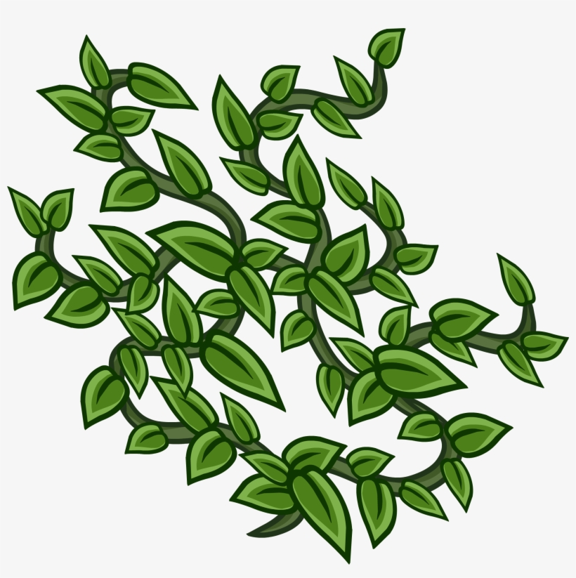Vines Sprite 006 - Thumbnail, transparent png