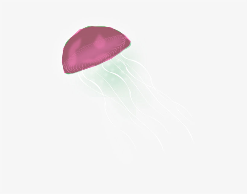 Small - Beanie, transparent png