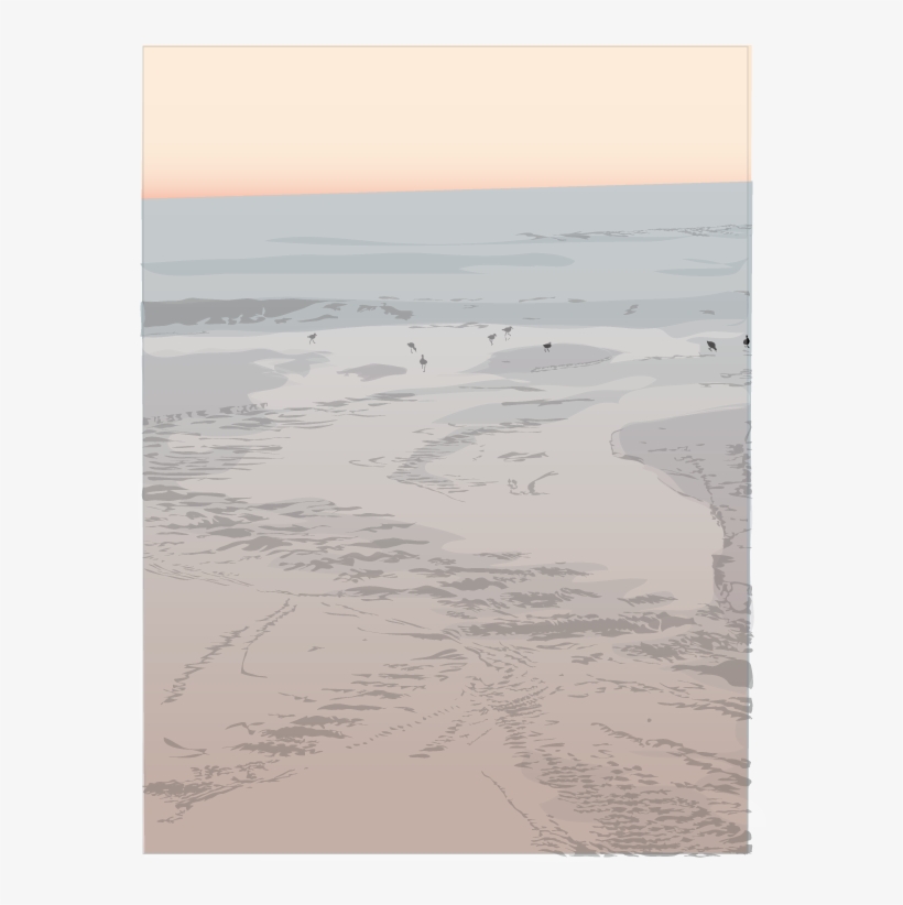 Sandpipers - Shore, transparent png