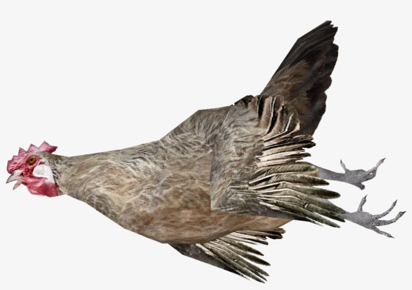 Dead Chicken Wiki 939x939 PNG Download PNGkit