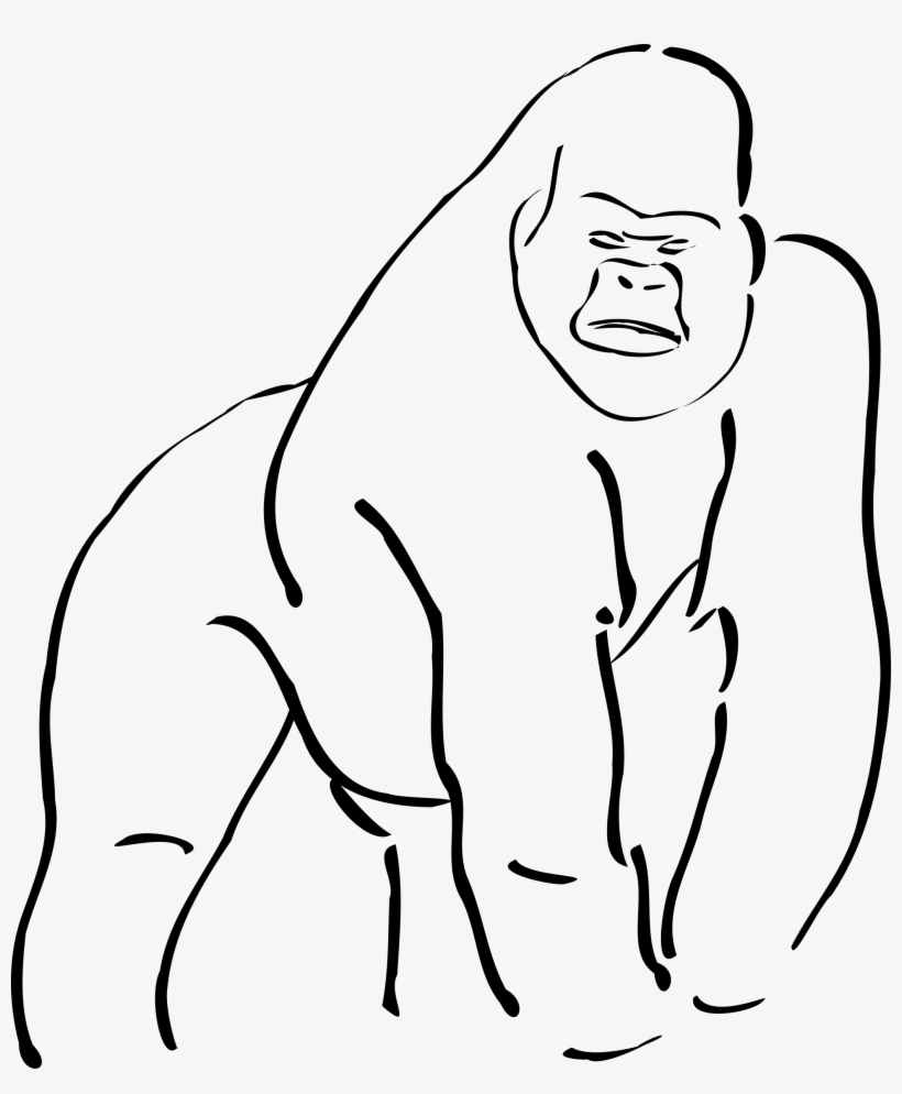 Gorilla Png, transparent png