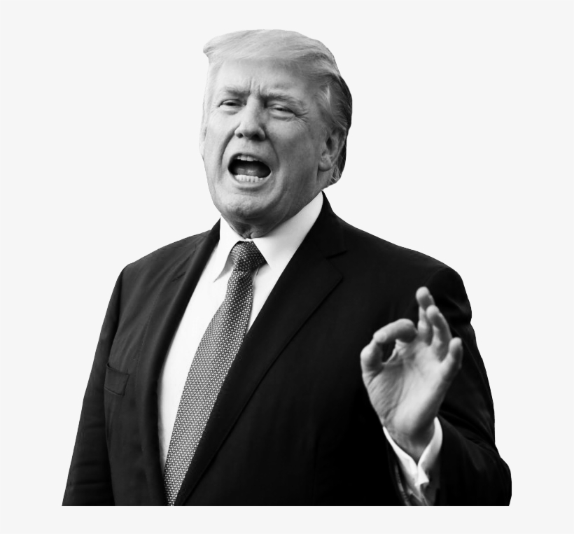 Trump - Monochrome, transparent png