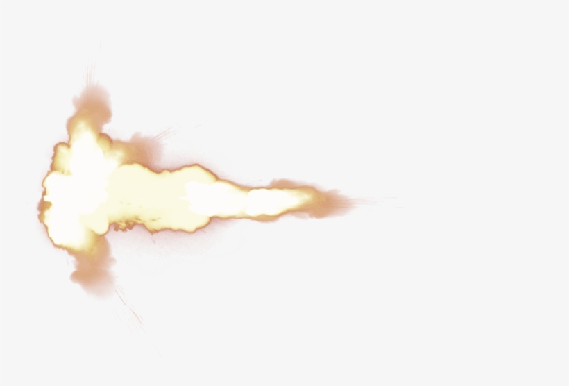 Download - Marine Invertebrates, transparent png