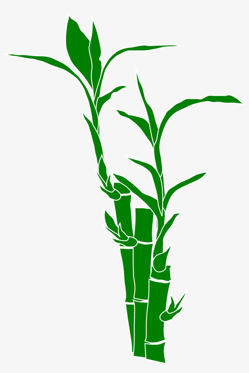 Download And Use Bamboo Png Clipart - Bamboo Clipart Png, transparent png