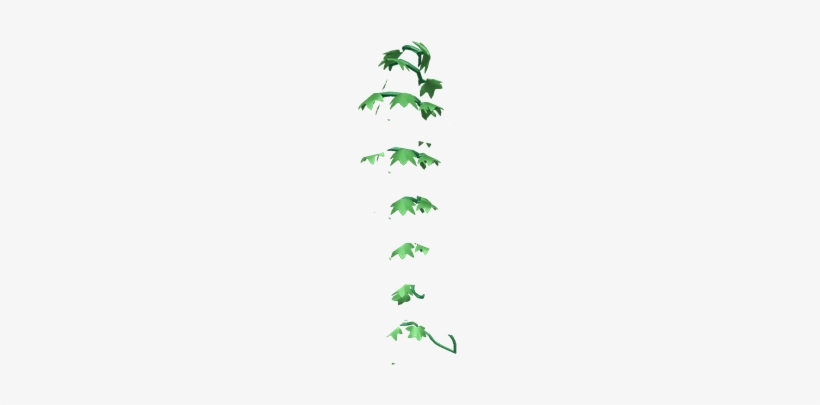 Vine, transparent png