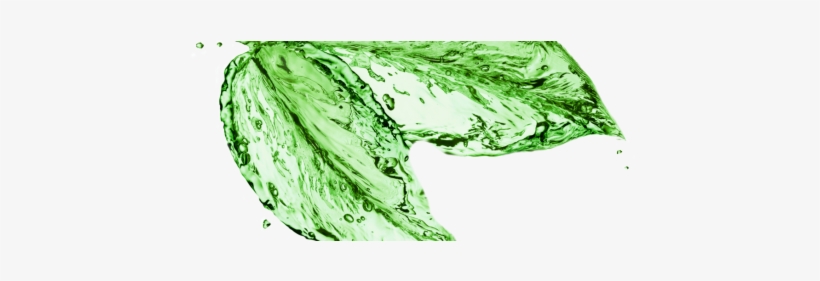 What Are Your Alternatives To The Dangerous Dry Cleaning - Leaf Splash, transparent png