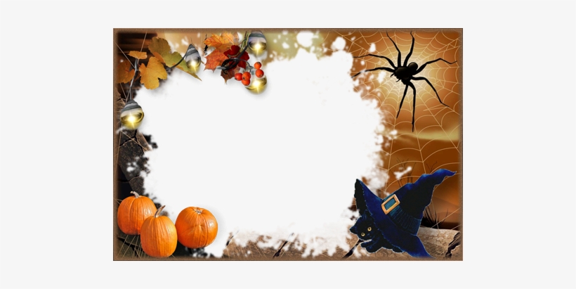 Halloween With Black Kitten - Halloween Spider, transparent png