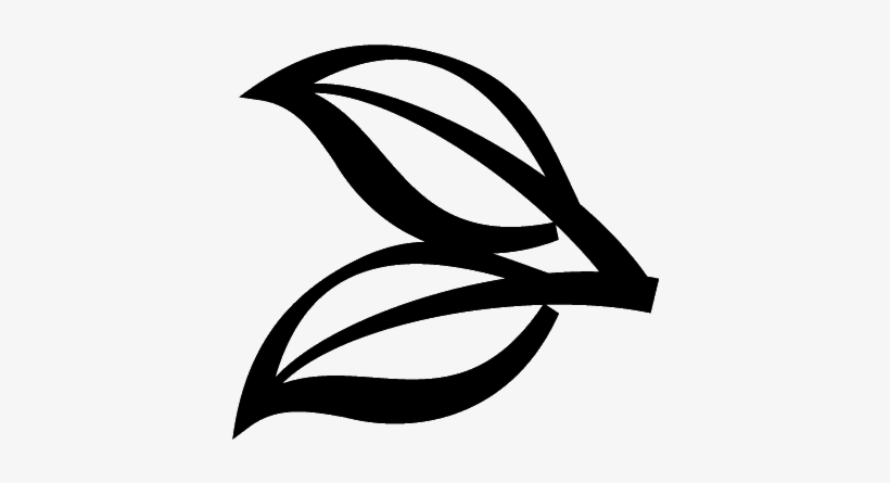 Edgar Pacheco Kallawaya Kallawaya Edgar Pacheco Is - Tea Leaf Icon Png, transparent png