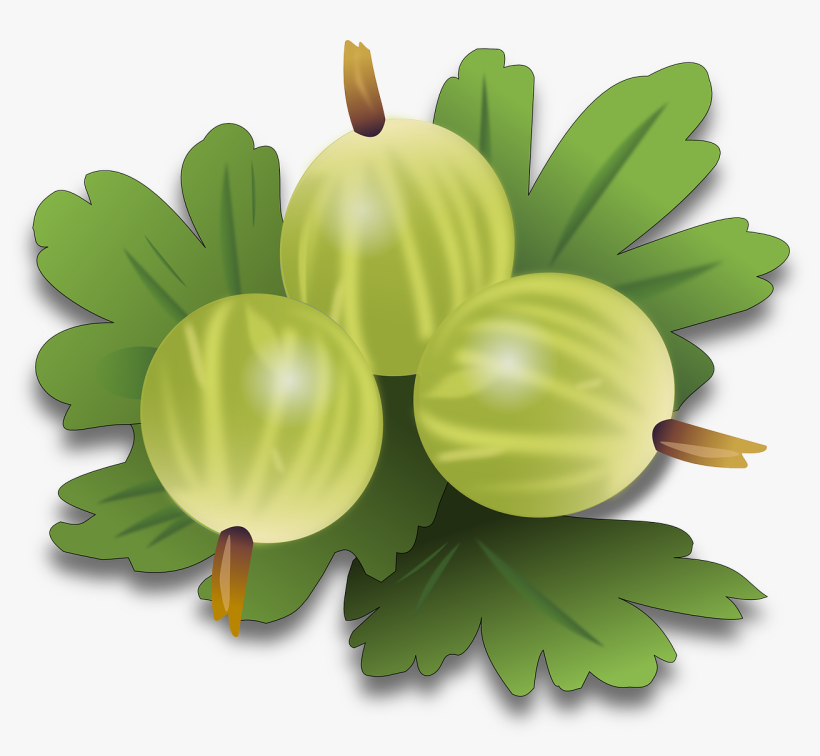 Clipart Png Related To Green Tea Leaf, transparent png