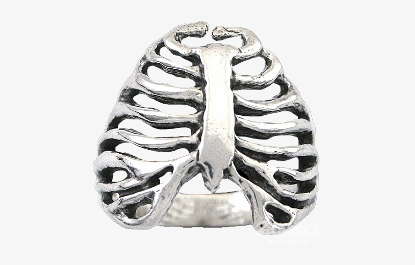 Sterling Silver Rib Cage Ring - Raven Blackwood Zombie Rib Cage Ring In 14k White Gold, transparent png