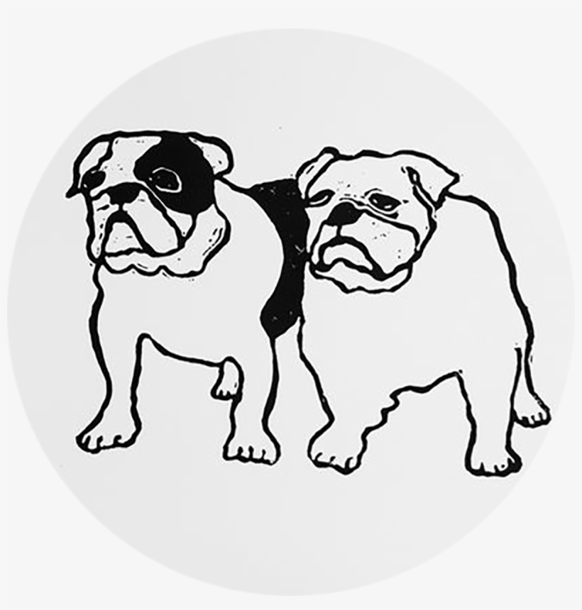 Hugo Guinness Bulldog, transparent png