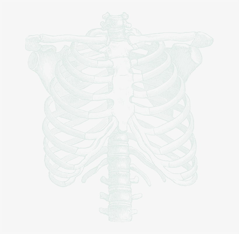 Ribcage Illustration - Skeleton Torso - Dark Goth Steampunk Handmade Pendant, transparent png