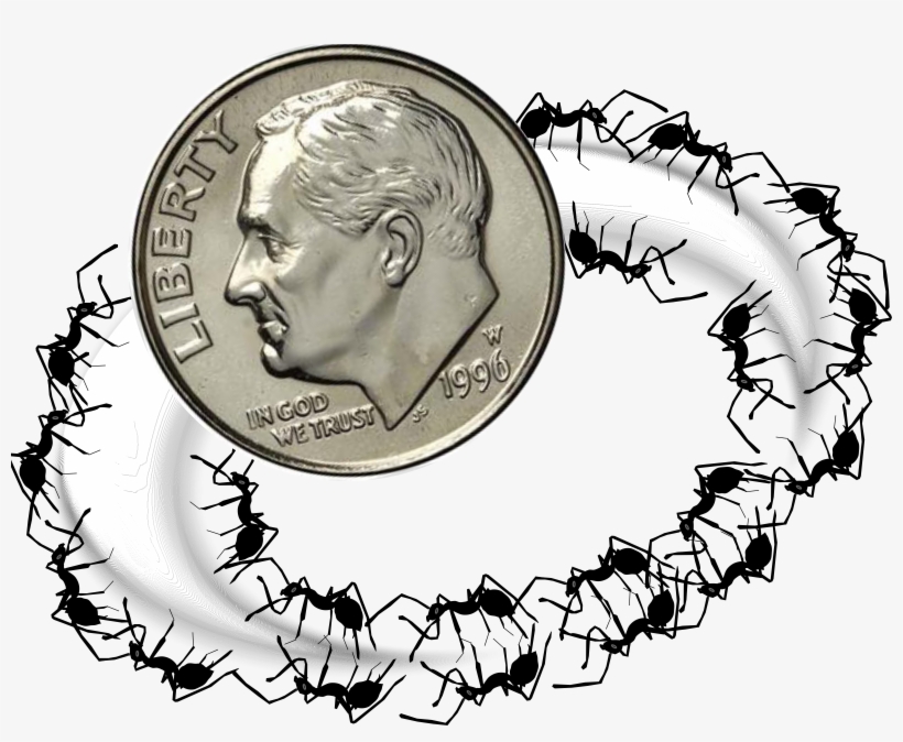 This Free Icons Png Design Of Dime Ant Ring, transparent png