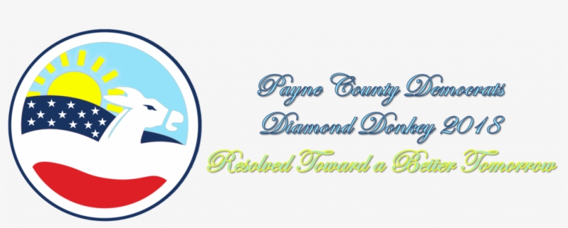 Diamond Donkey Puts Us In Position To Organize For - Graphic Design, transparent png