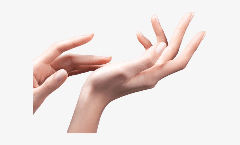 In Collaboration With Our Manicure Schools In England, - Germany, transparent png