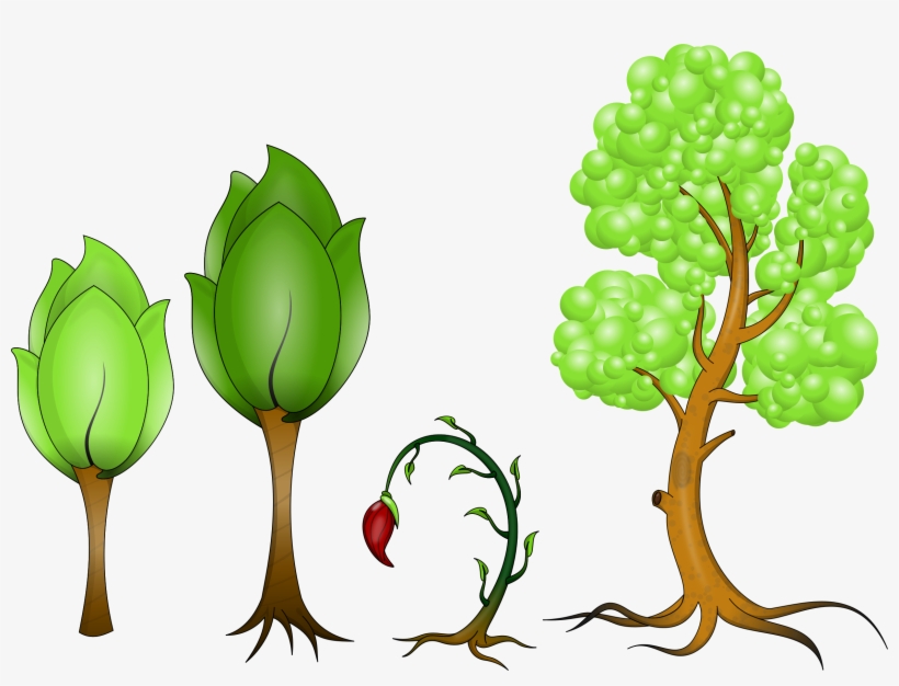 Plantas Png, transparent png