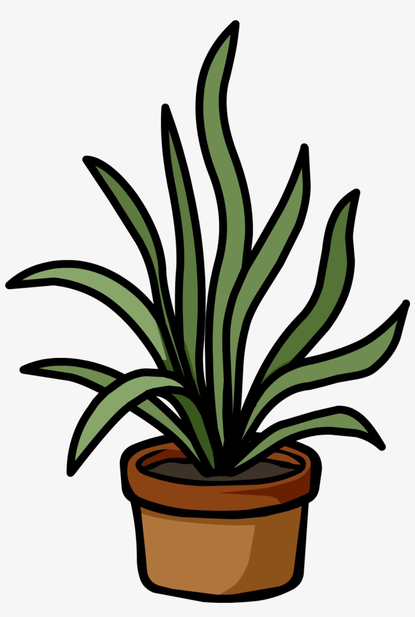 Png - Plant Penguin, transparent png