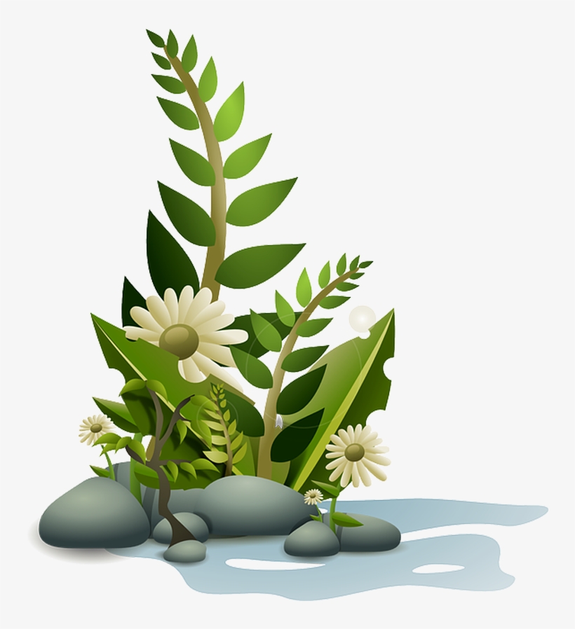 Planta Em Png - Flower Vector Png, transparent png