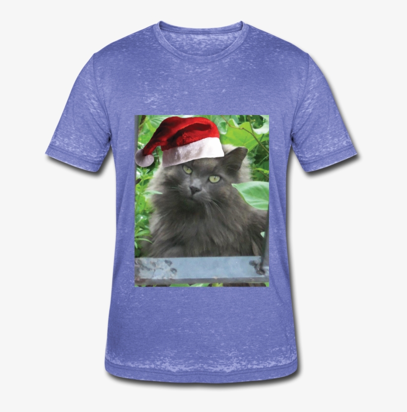 Adorable Russian Blue Cat Wearing A Santa Hat - Long Haired Russian Blue Cat Shower Curtain, transparent png