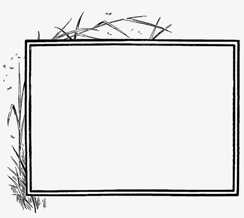 My Favorite Digital Frame Image Is The Third Frame Simple Photo Borders 1600x1344 PNG