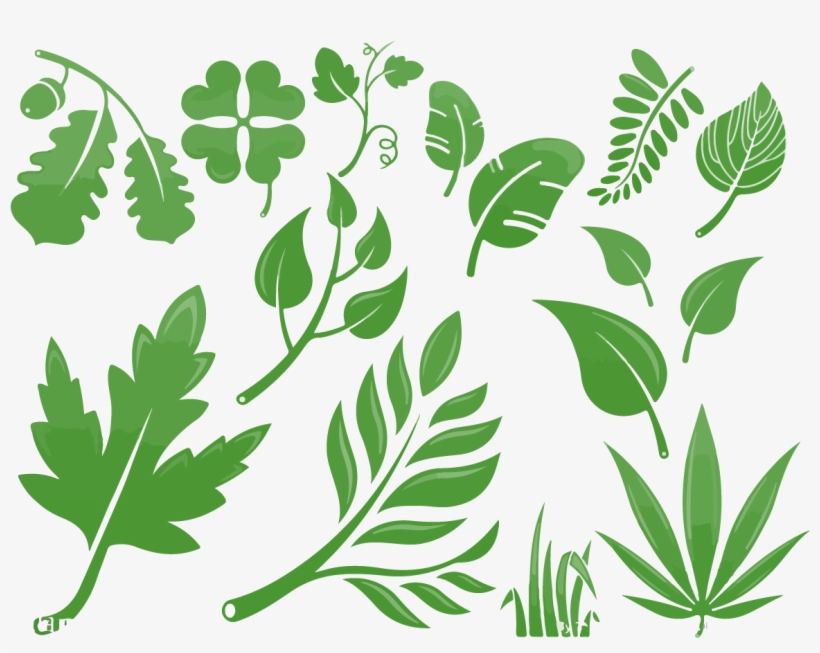 Ilustraciones Ilustradas De Hojas De Vectores Para - Illustration, transparent png