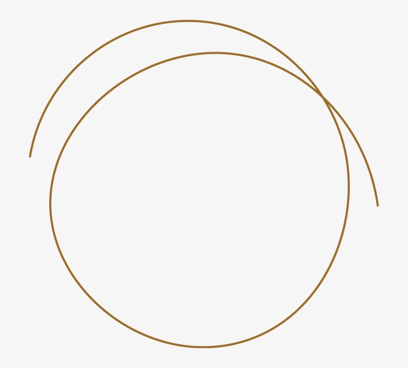 New Arrivals - Brandon Indonesia Mencari Bakat, transparent png