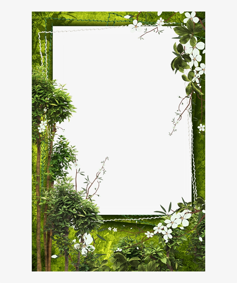 Find This Pin And More On Border By Nanalosh - Picture Frame, transparent png