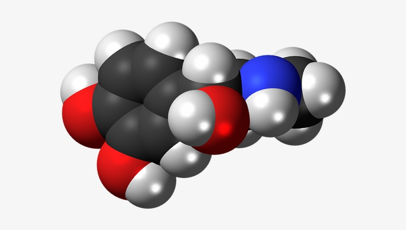 Chuck Norris Network Marketing - Hormona De La Adrenalina, transparent png