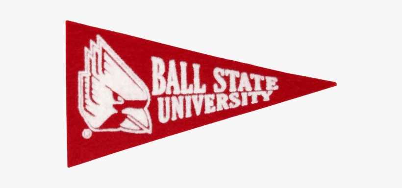 Cover Image For Magnet, Pennant - College Or Career Pennant, transparent png