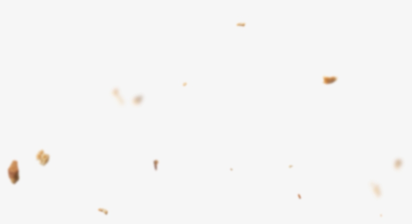 Bread Crumbs Png - Animal, transparent png