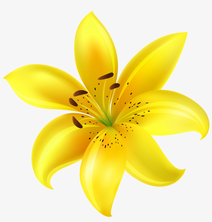 Yellow Flower Png, transparent png