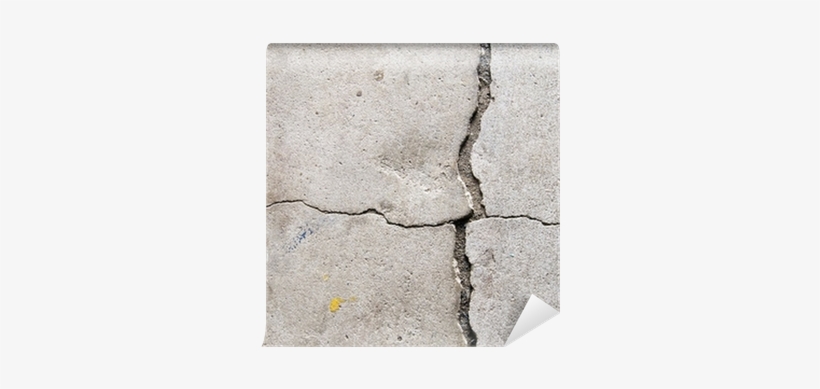 Floor, transparent png