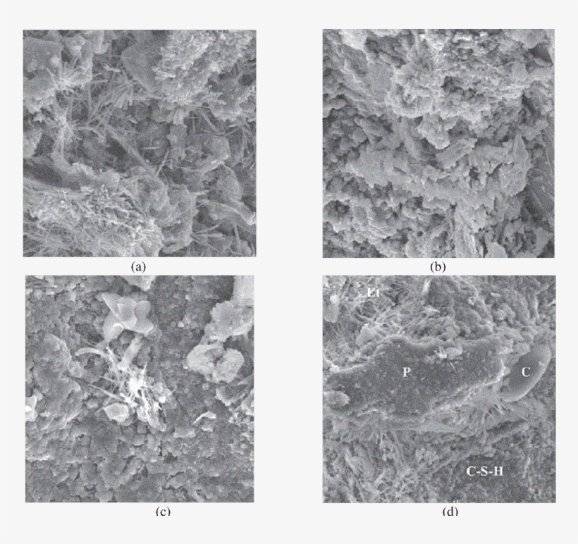 Scanning Electron Morphology Of Blended Concrete Immersion - Transmission Electron Microscopy, transparent png