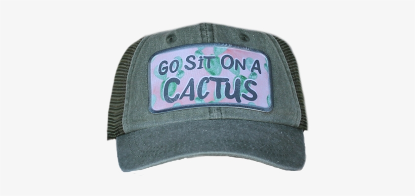 Alternative Views - - Cactus, transparent png