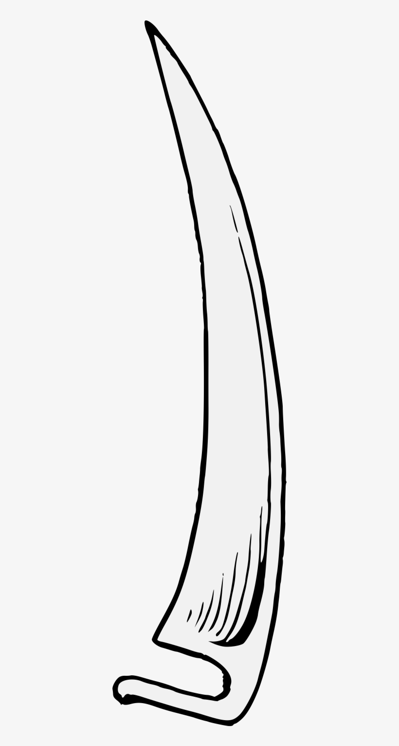 Details, Png, transparent png