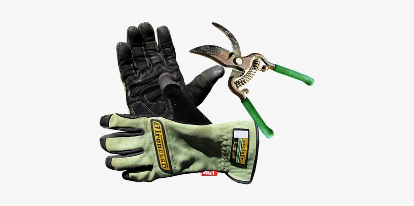 Garden, Gloves, Tool, Work - Tool, transparent png