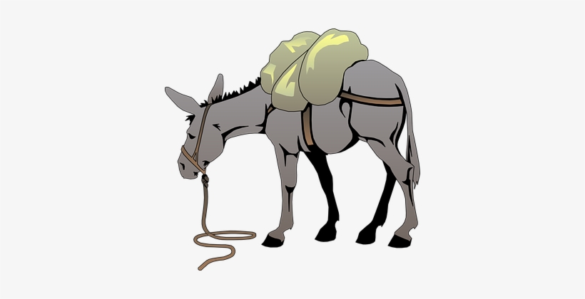 Donkey Gray Load Animal Tail Mammal Pack D - Donkey Clip Art, transparent png