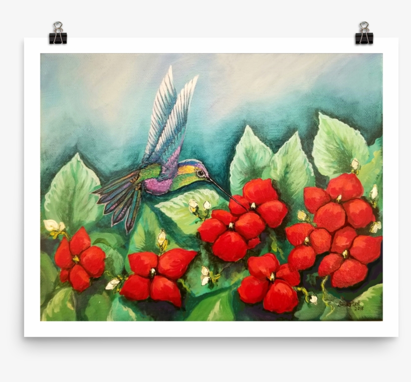 Humming Impatiens, Print On Premium Luster Photo Paper - Touch-me-not, transparent png