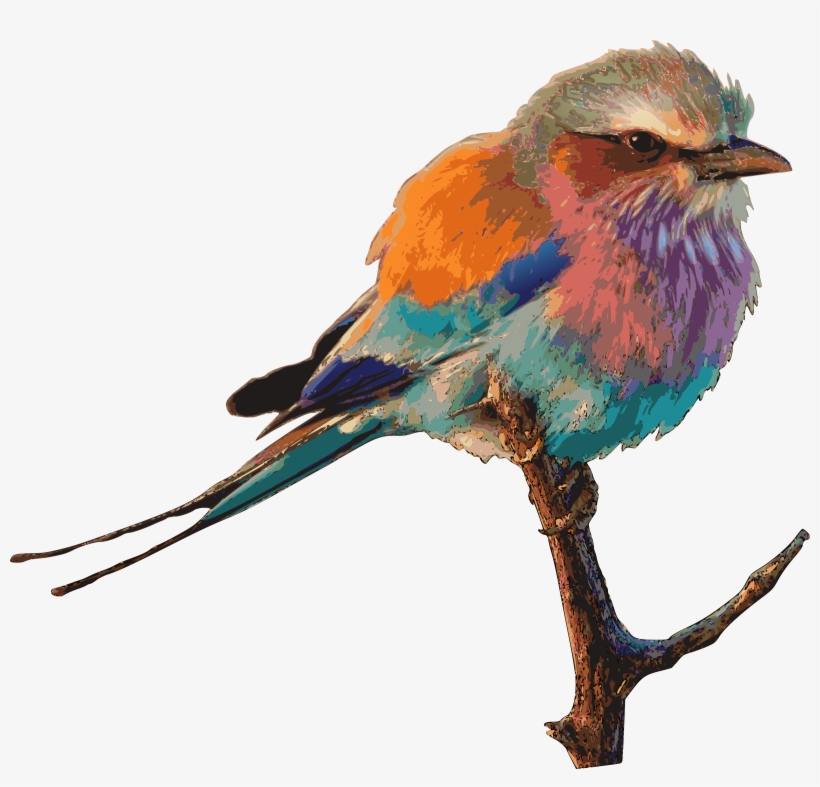 Big Image - Lilac Breasted Roller Bird Clipart, transparent png
