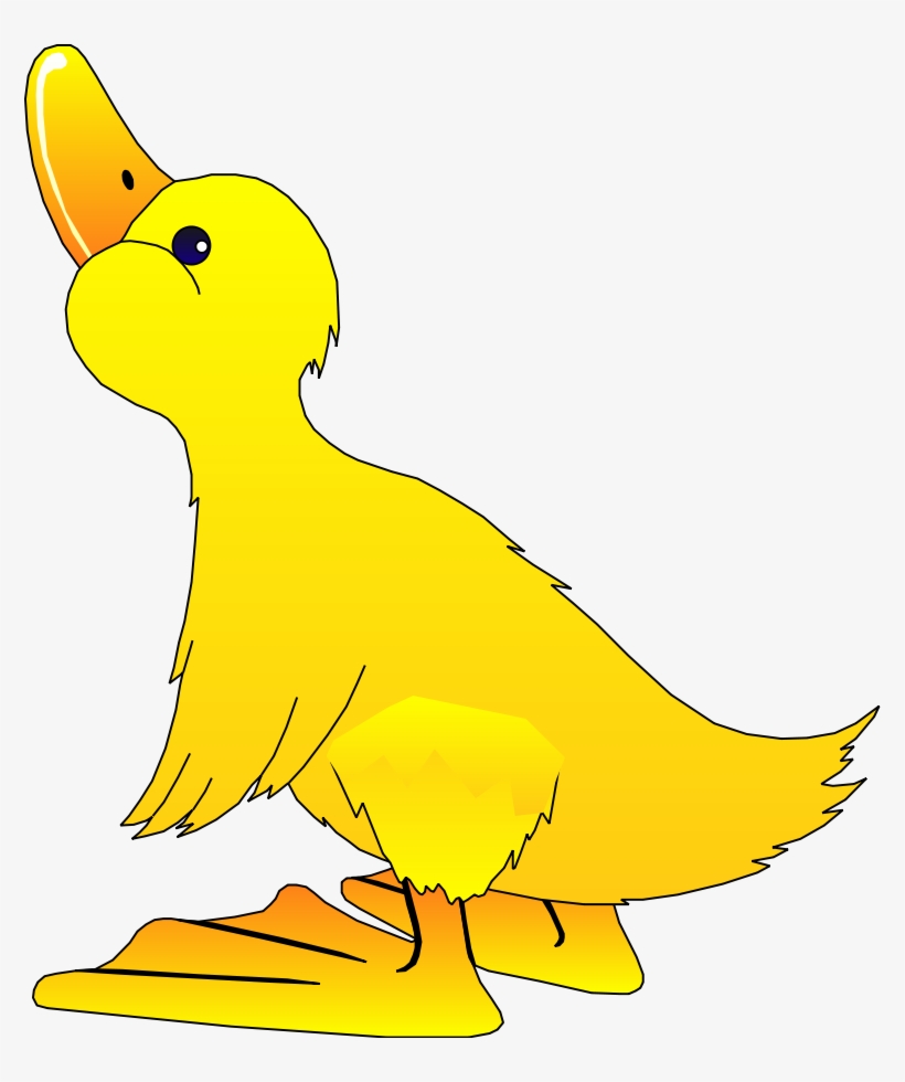 Small Medium Large - 776x900 PNG Download - PNGkit