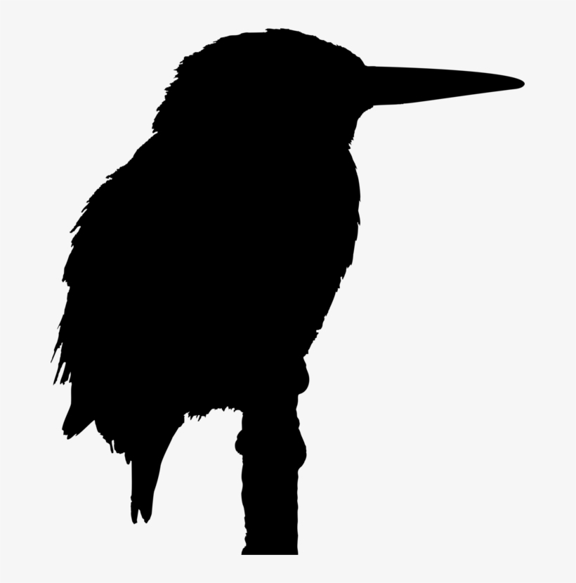 Big Bird Kingfisher Silhouette Drawing - Kingfisher Silhouette, transparent png