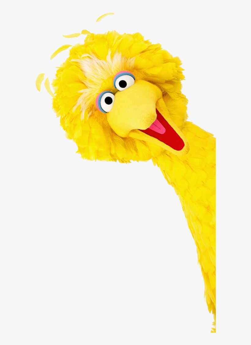 Big Bird Donate - Earth's Best Sesame Street Crunchin' Crackers - Cheddar, transparent png