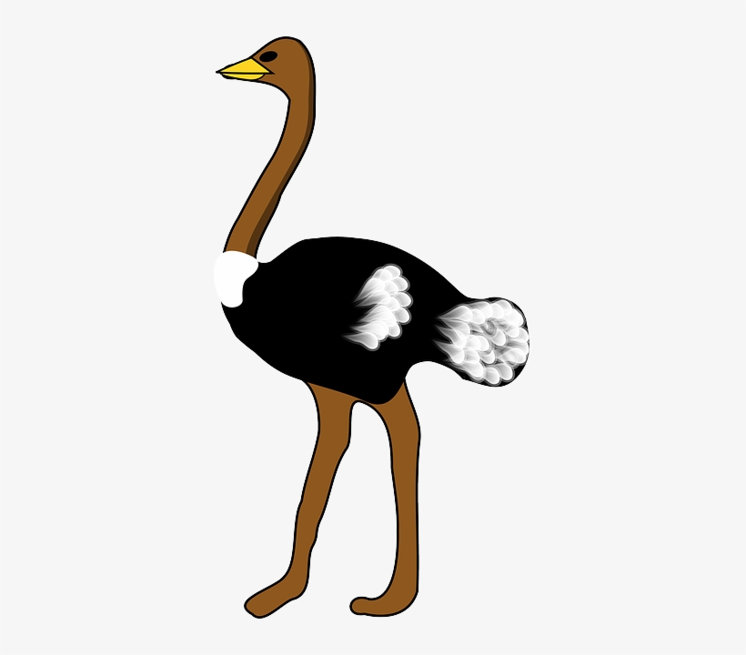 Large, Cartoon, Big, Bird, Stand, Cute, Ostrich, Animal - Ostrich Clipart, transparent png