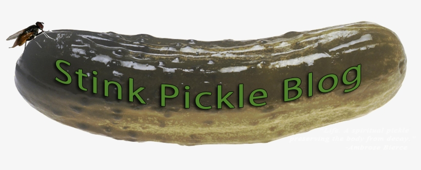 Dill Pickle Pillow Case, transparent png